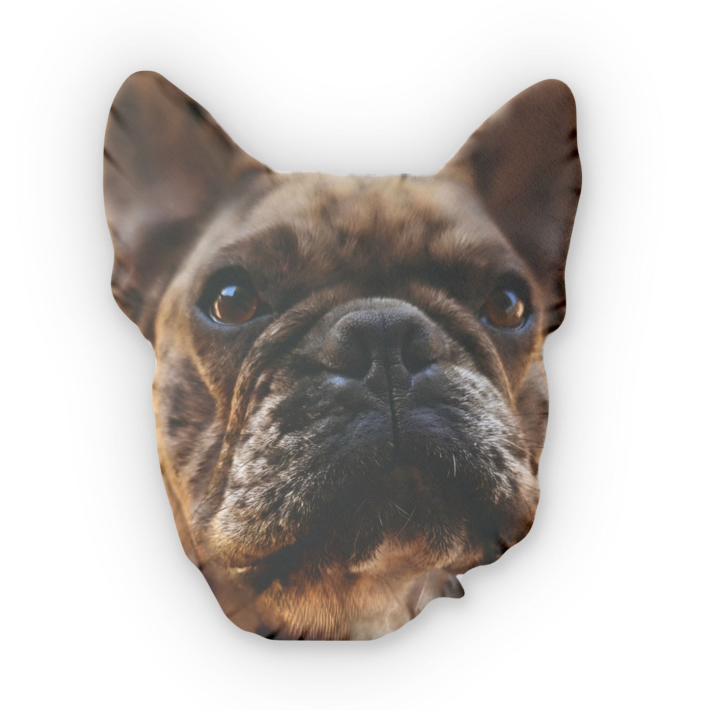 Custom Pet Face Pillow — Personalized Shaped Throw Pillow, dog, cat, reptile, bird