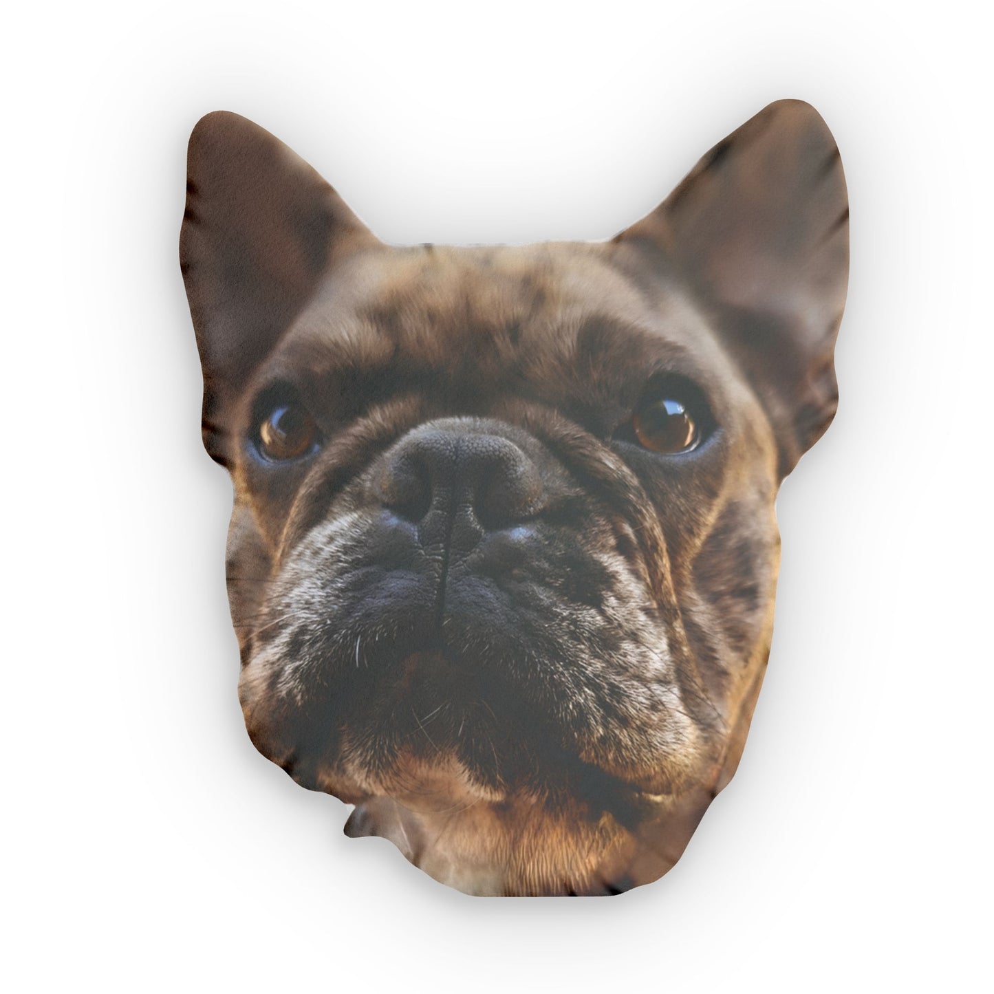 Custom Pet Face Pillow — Personalized Shaped Throw Pillow, dog, cat, reptile, bird